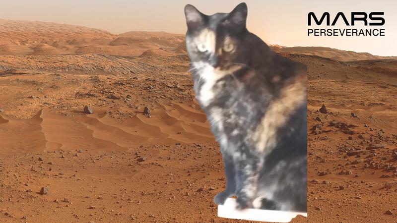 Anna enjoyed her recent trip to Mars but is happy to be home again.