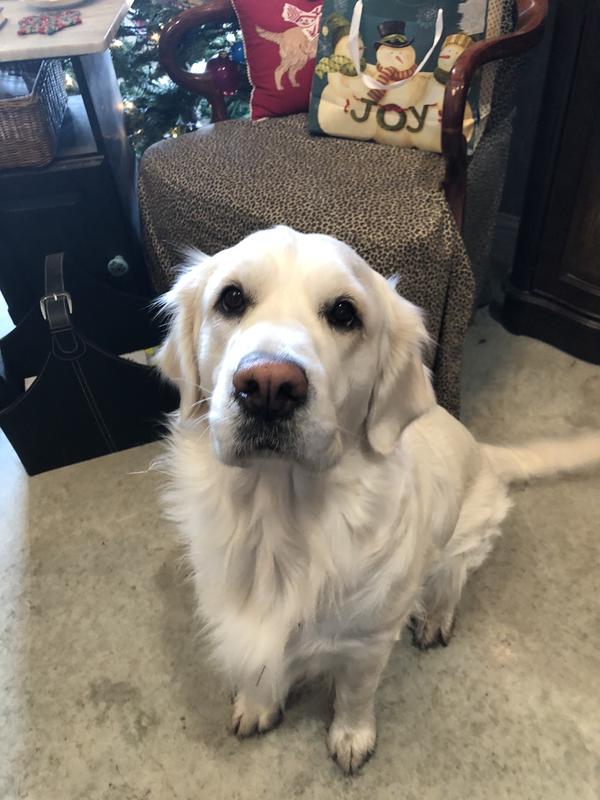 Happy Everest girl!