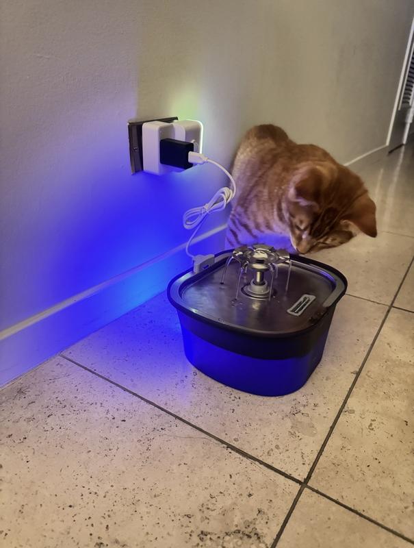 Water fountain stream