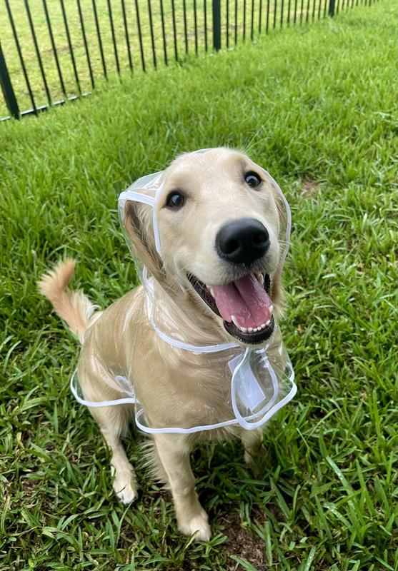 FRISCO Lightweight Clear Vinyl Dog Raincoat, XXLarge