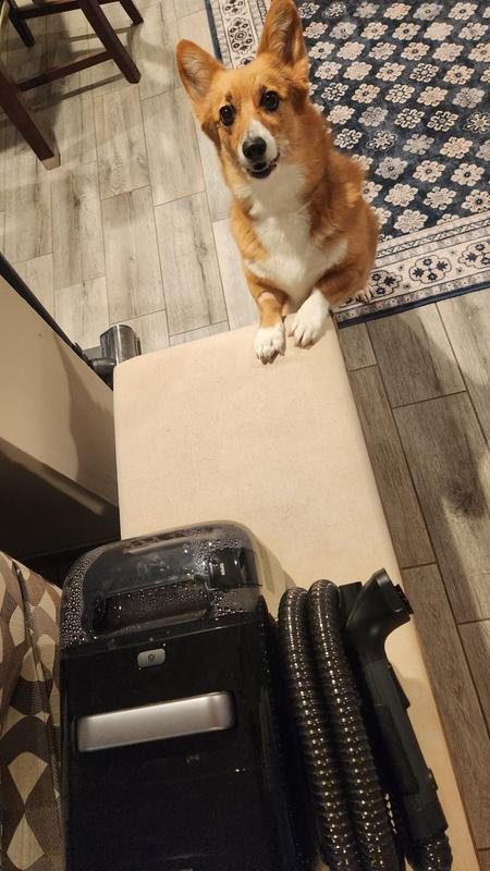 My cleaning assistants