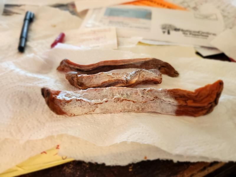 mold on potato strips!!