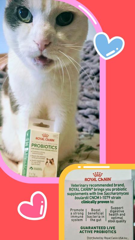 Royal Canin & Happy Tummy