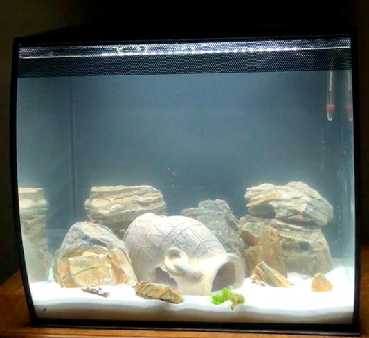 Pisces Usa Gold Pagoda Aquarium Rock, 17-lb Bag - Chewy.com