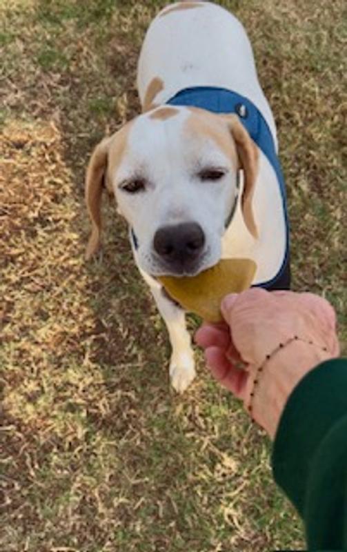 Product

Dottie 1st Day

Dottie loving her ear 1st day

Dixie taking her ear 1st day