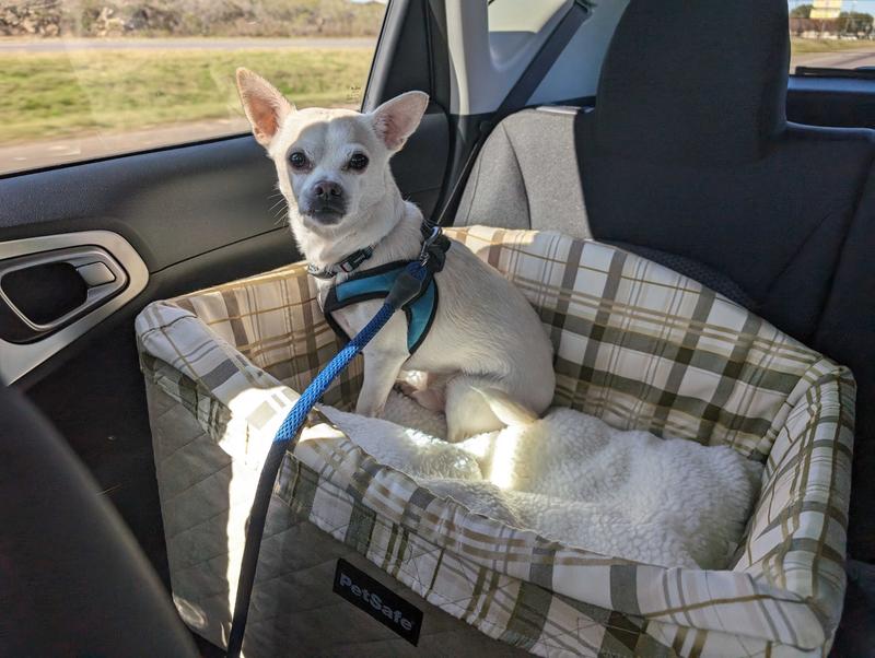 PETSAFE Happy Ride Quilted Dog Safety Seat - Chewy.com