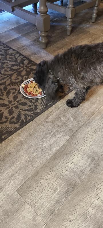My teddybear Bronx