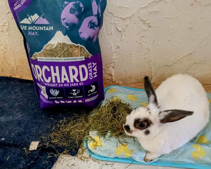 "Yummy, this is good!!"