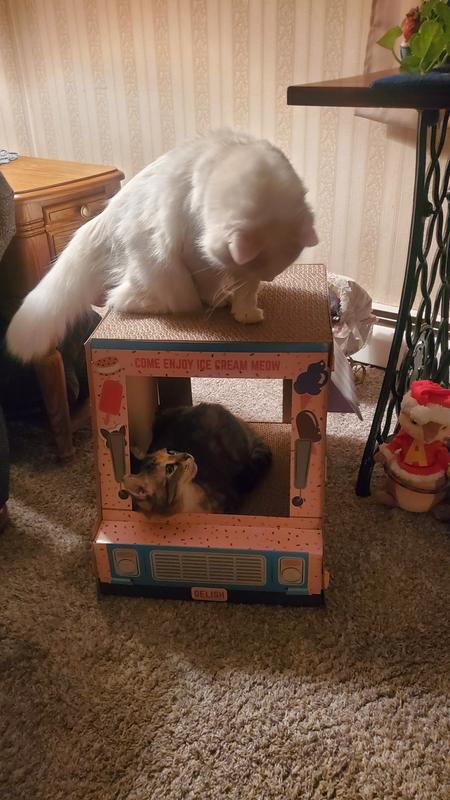 "You're not getting in here so don't fool yourself."