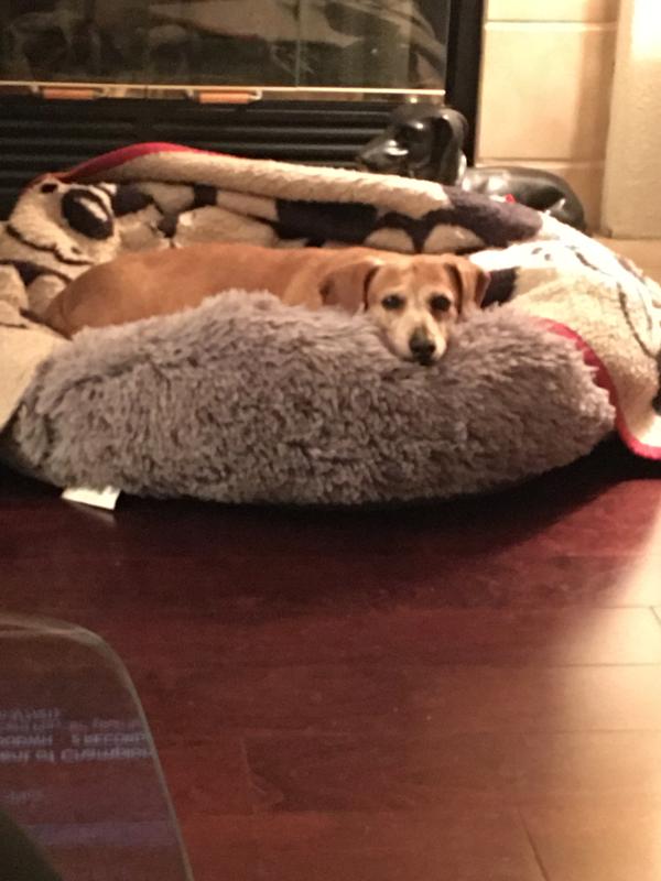 Taylor loving her new bed