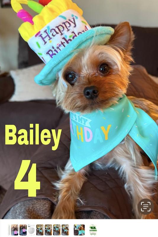Bailey’s 4th Birthday!