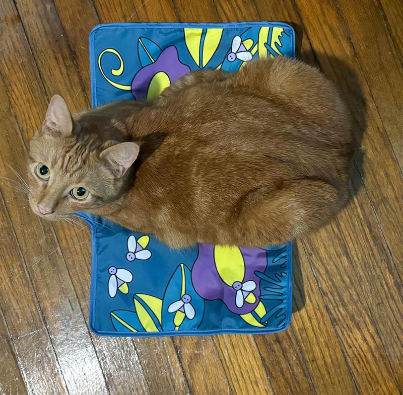 CATSTAGES Flashing Firefly Mat Cat Toy Chewy