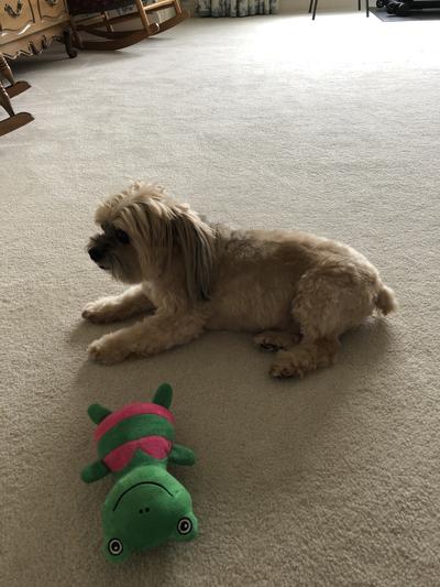 Happy camper! Thanks mommmy!