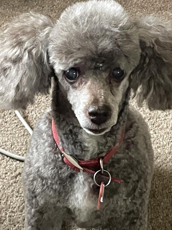 14 year old Baby!💕