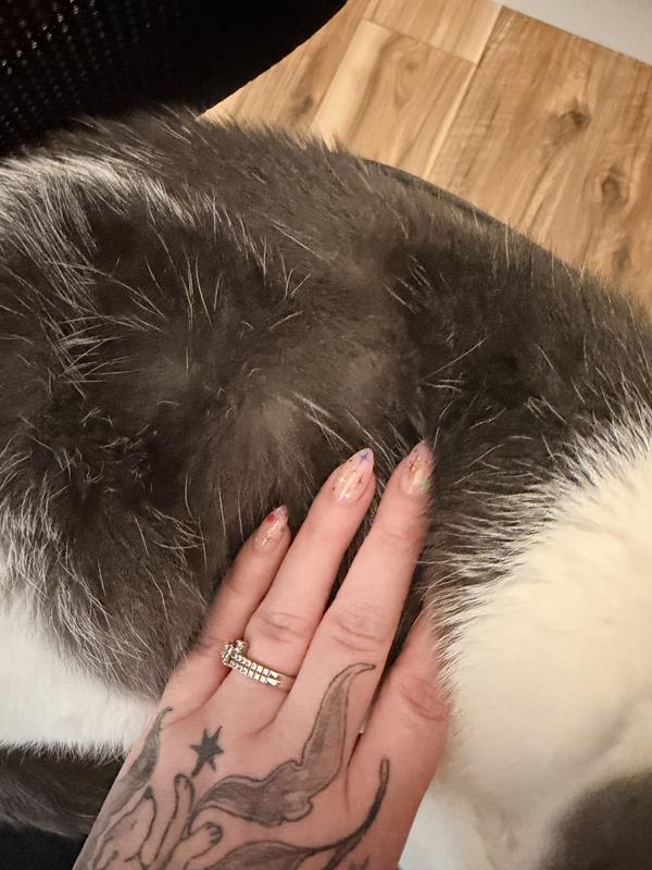 After 2 weeks of daily treats
