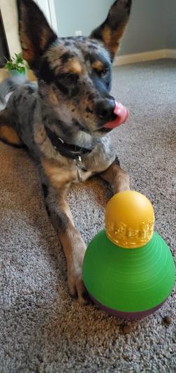 Starmark Treat Dispensing Wobbling Bob-a-Lot Dog Chewing Interactive Tough Toy 