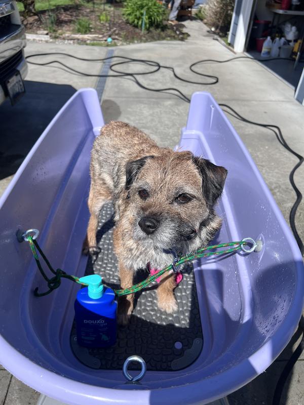A great spring day for an outdoor shower
