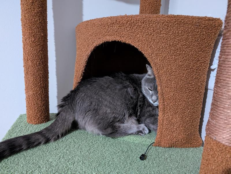 He enjoys the condo, but it's a little small