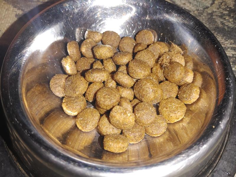 This is what the product looks like in my fur babies bowl.