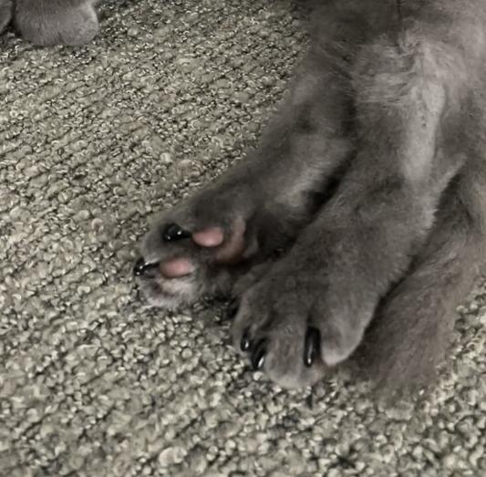 back paws on 3 month old
