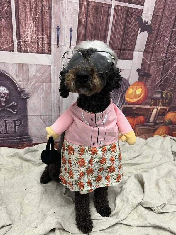 Cutest Granny around! (Glasses not included)