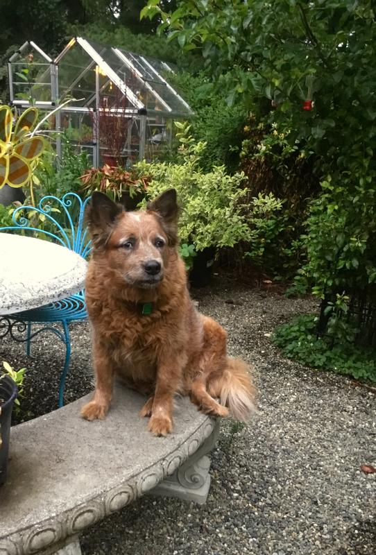 grateful for these pain medications that allow her to enjoy her life and keep her with us.