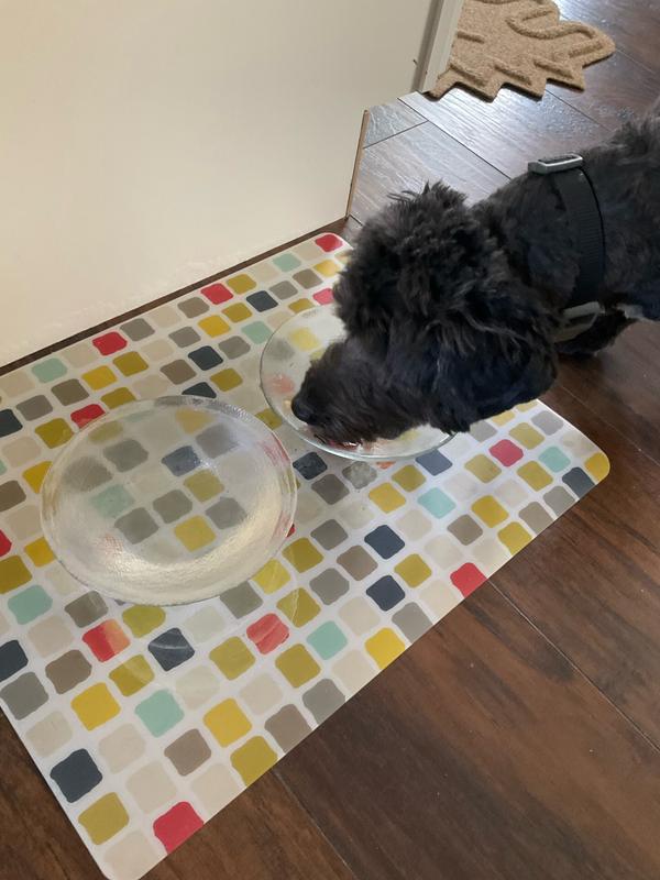 Licking the bowl for whatever is left! Loves Grandma's Chicken Soup!