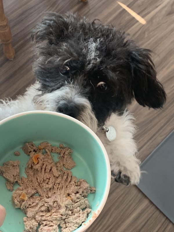 Mousse’s eyes tell the whole story! It smells yummy!