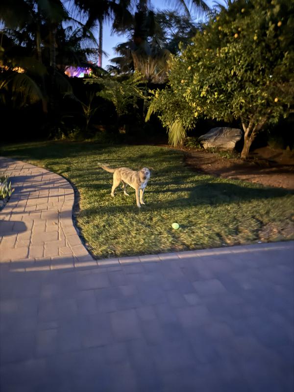 It glows better than this looks