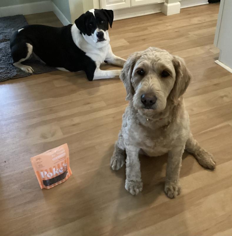 We Will Share - Good Girls