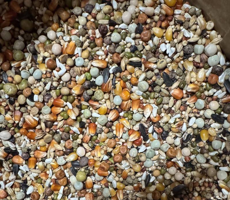 Very clean and consistently made in each bag purchased.