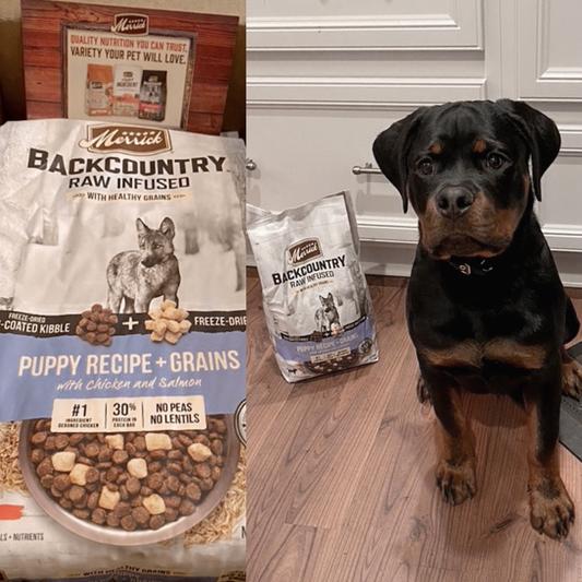 Merrick raw infused dog food outlet reviews