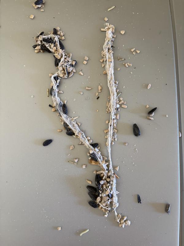 Sticky "webs" throughout of bag of food