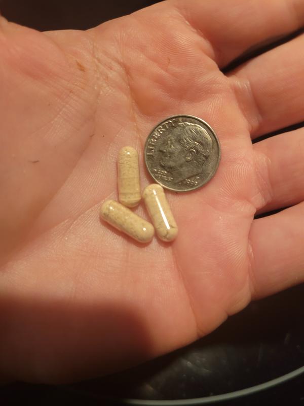 You can see the size is good for cats