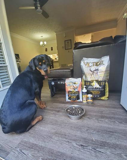 Ultra pro outlet dog food