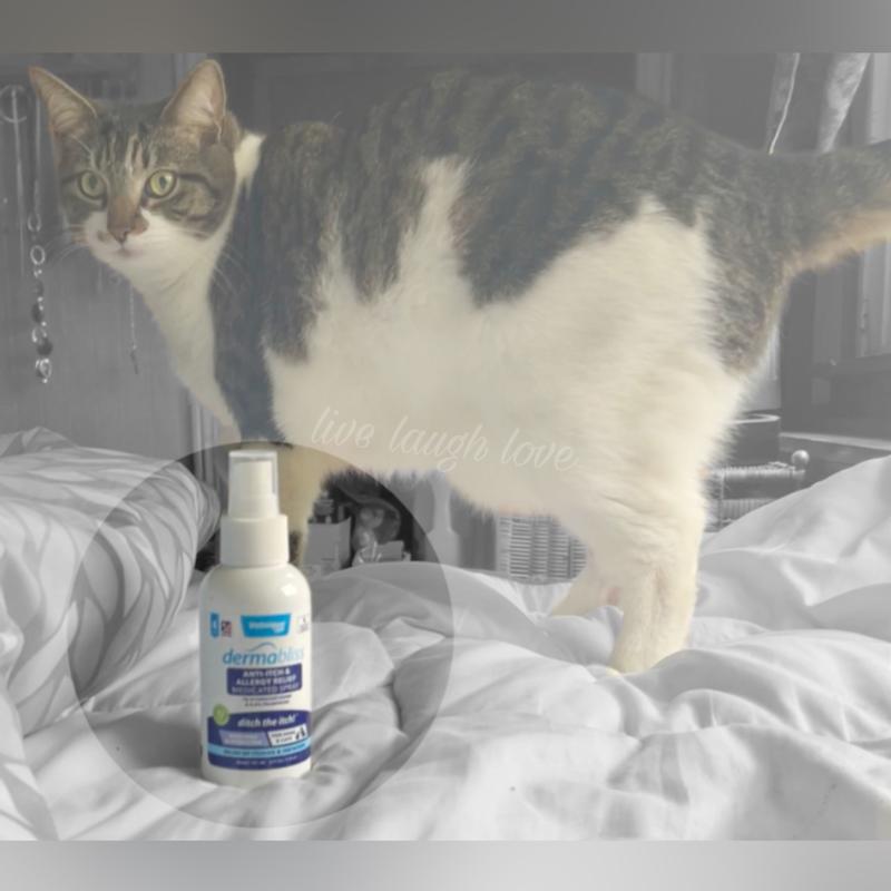 VETNIQUE LABS Dermabliss Hydrocortisone AntiItch & Allergy Relief