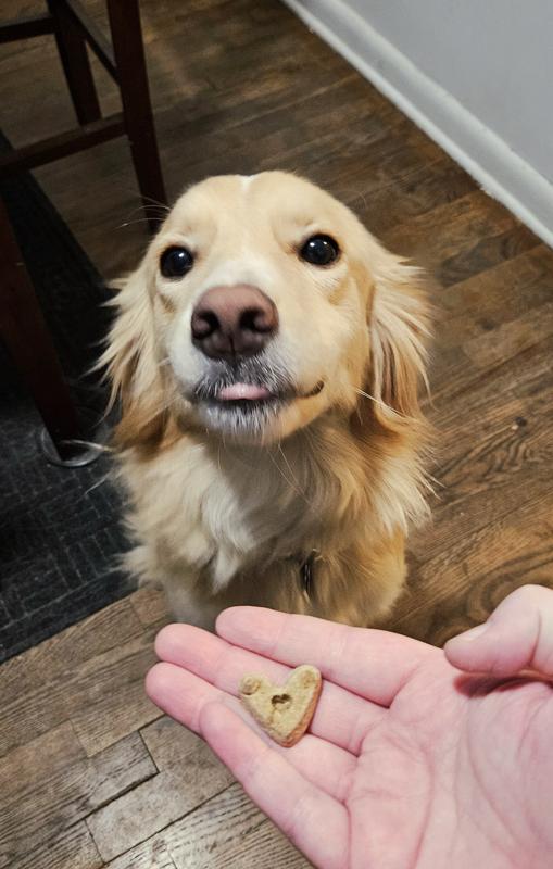Waiting impatiently for her treat!