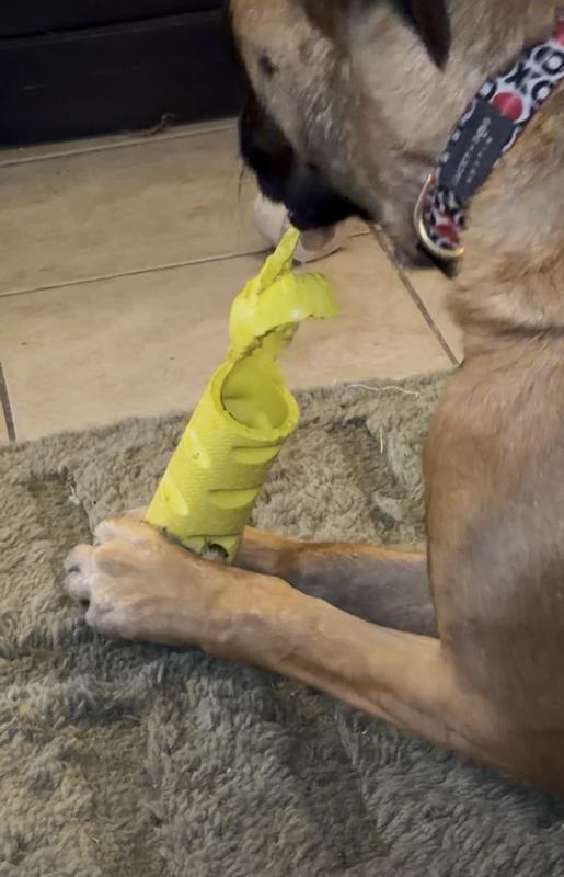 Captain of Destruction for the win!