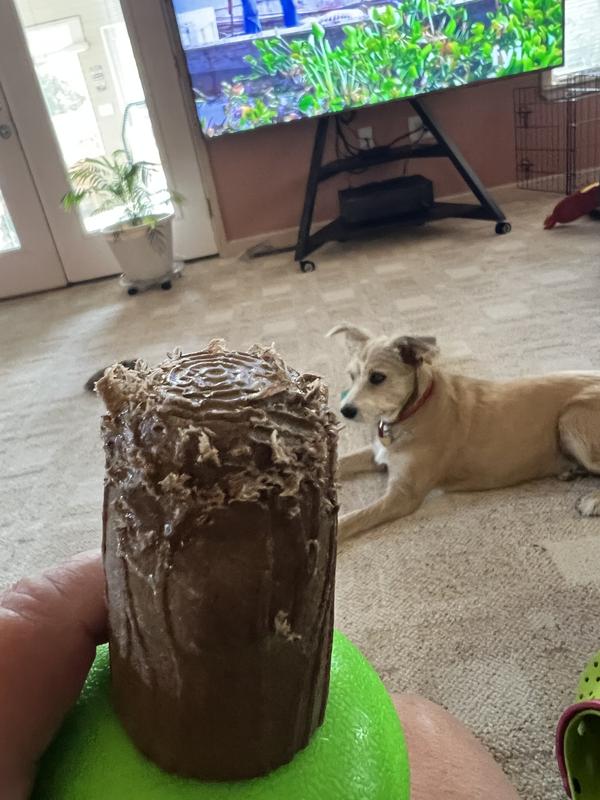 I had to take this toy away from him minutes after giving it to him.