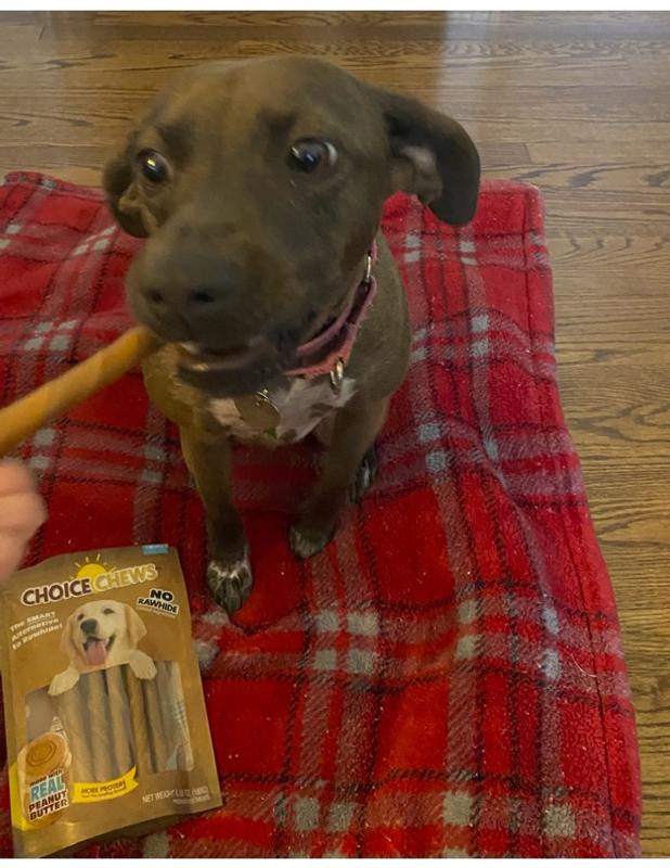 CADET Choice Chews Peanut Butter Flavor Dog Treats, 15 count