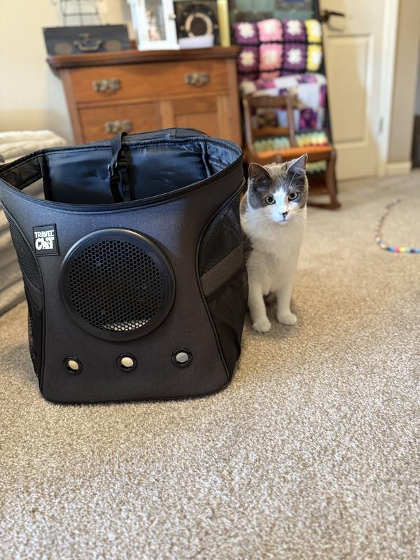 Jojo checking it out