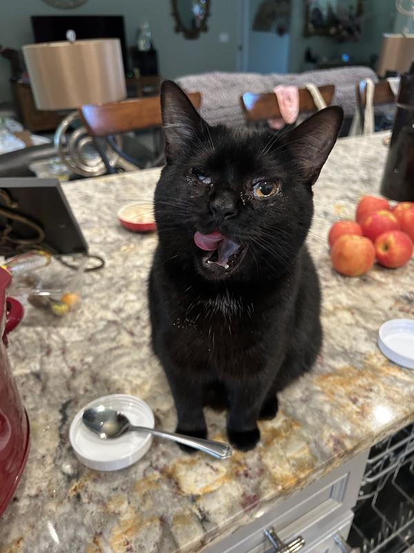 I love this lil girl.