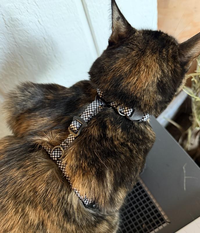 the length between each piece as well as each cat is a bit different sized