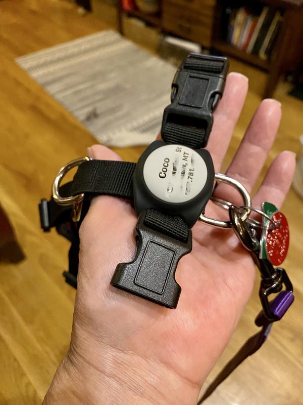 I have blurred our information, but I hope you get the idea. It stretched over the buckles and looks like it's part of the harness. It's not going anywhere!