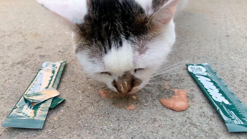 She approached quickly to me.