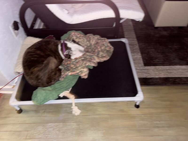 Very rugid and sturdy