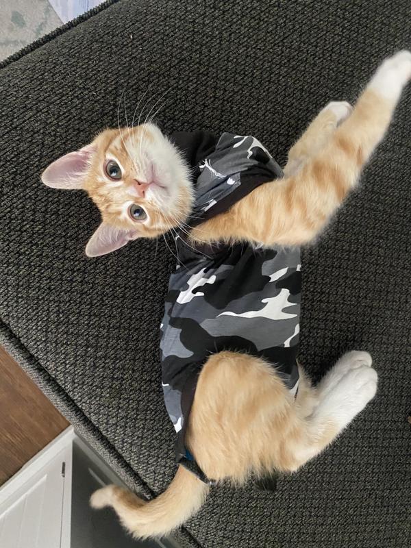 SUITICAL Recovery Suit for Cats, Black Camo, XXSmall