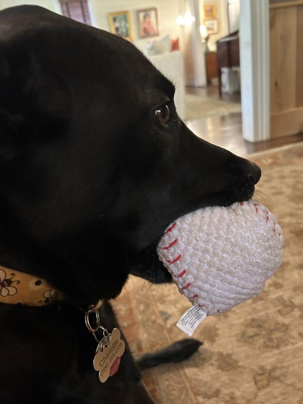 A face full of baseball.