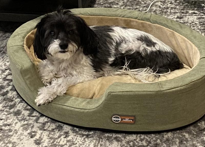 Thermo snuggly clearance sleeper dog bed