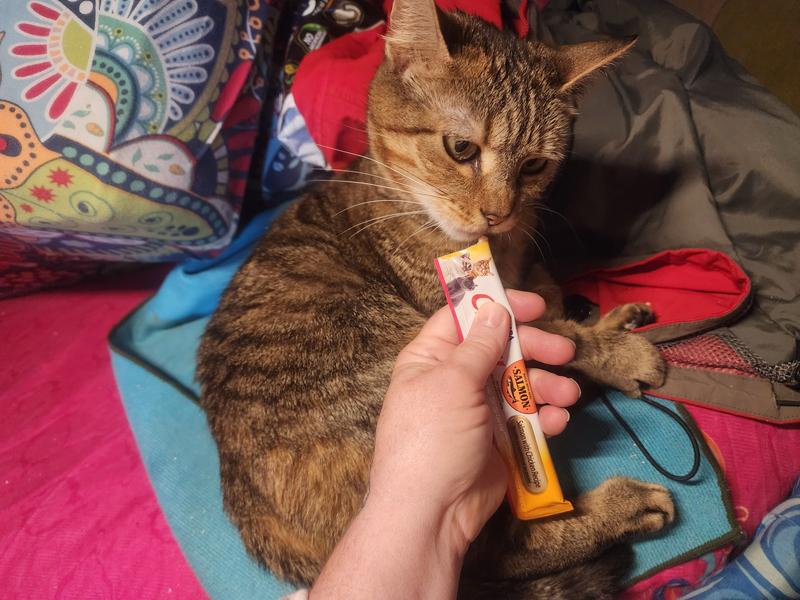 Both of them enjoying their treats